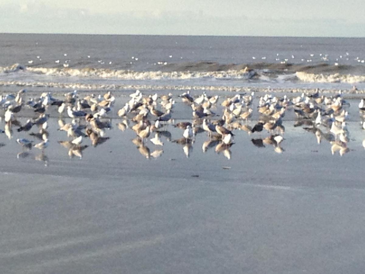 Strand En Meer Katwijk aan Zee Exterior foto